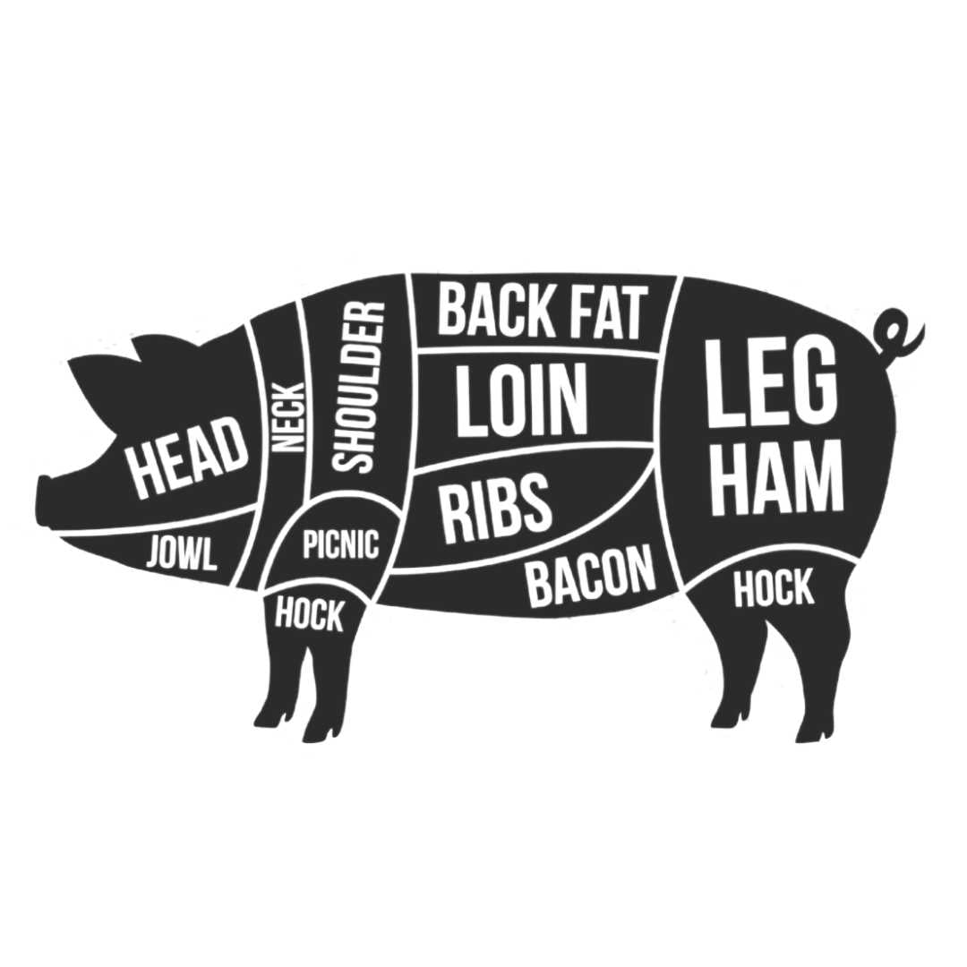 toes, trotters, pig
